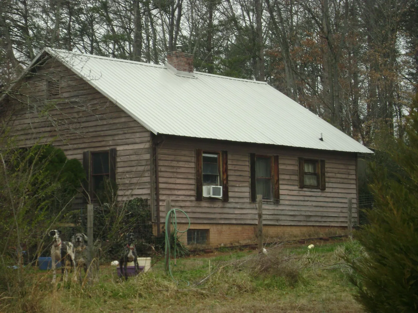 White metal roof on an old wood sided farmhouse, from a Asphalt Shingle Roof Repair job in Norborne